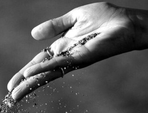 Living Lightness