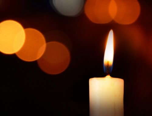 The Gift of the Season