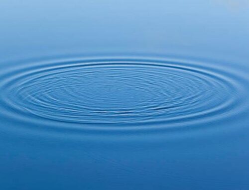 Ripples