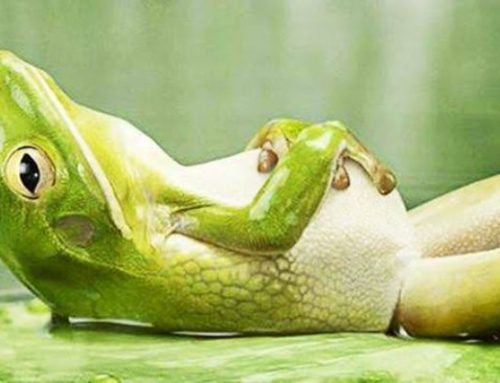 My Own Well-being